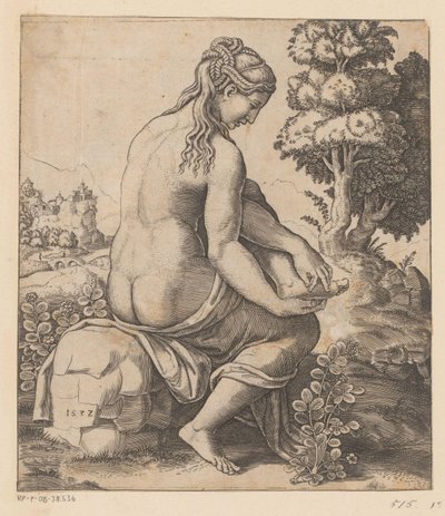 Venus und die Rose von Meester van de Dobbelsteen