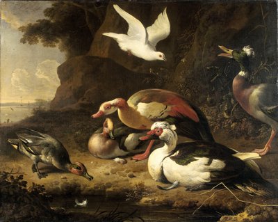 Enten von Melchior d