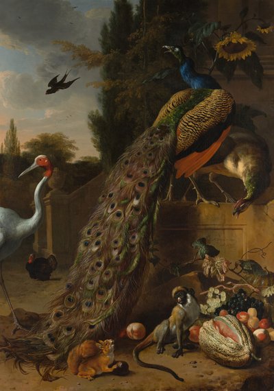 Pfauen, 1683 von Melchior d