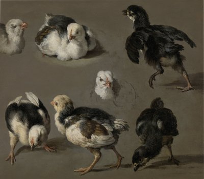 Sieben Küken von Melchior d