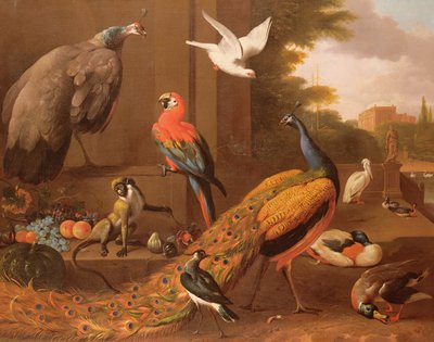 Vögel in einer Landschaft von Melchior de Hondecoeter