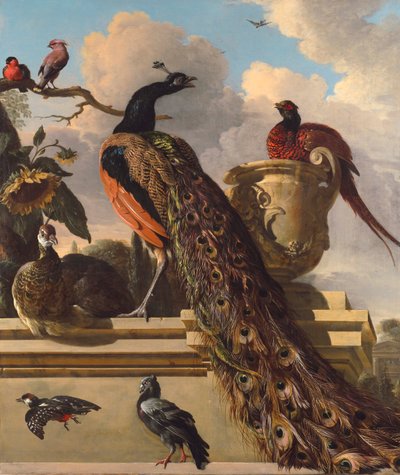 Vögel im Park von Melchior de Hondecoeter