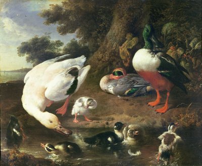 Hofenten von Melchior de Hondecoeter