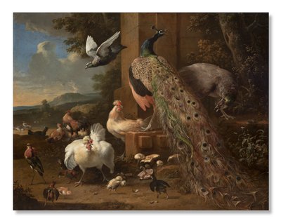 Menagerie, ca. 1680 von Melchior de Hondecoeter