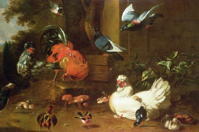 Geflügel im Park von Melchior de Hondecoeter