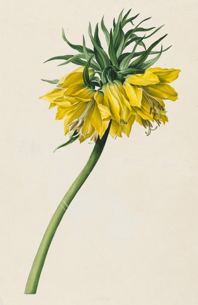 Kaiserkrone von Michael Moritz Daffinger