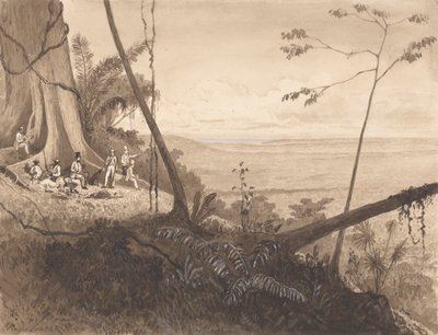 Cedar Point, Mount Tamana von Michel Jean Cazabon