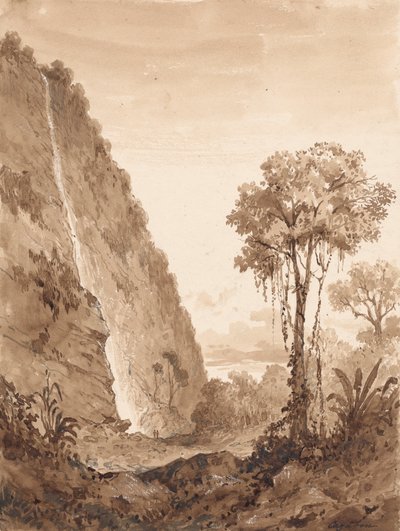 Maraccas Wasserfall von Michel Jean Cazabon