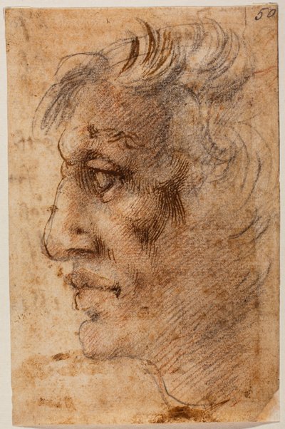 Männlicher Kopf im Profil von Michelangelo (after) Buonarroti