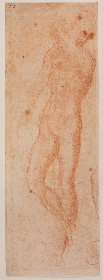 Studien von männlichen Akten von Michelangelo (after) Buonarroti