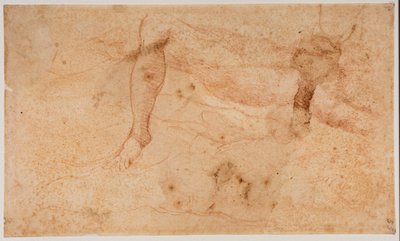 Studien von Aktfiguren von Michelangelo (after) Buonarroti