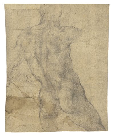 Ein männlicher Akt von hinten gesehen von Michelangelo Buonarroti