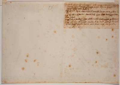 Autographische Erinnerungen von Michelangelo Buonarroti