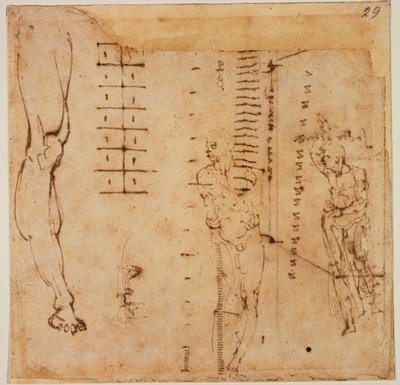 Figurenstudien von Michelangelo Buonarroti