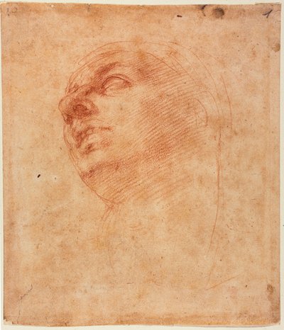 Kopfstudie für den Sixtinischen Jona von Michelangelo Buonarroti