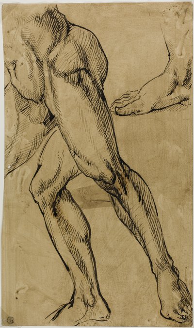 Beine und Füße eines männlichen Aktes von Michelangelo Buonarroti