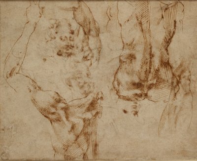Aktstudien, ca. 1490-1560 von Michelangelo Buonarroti