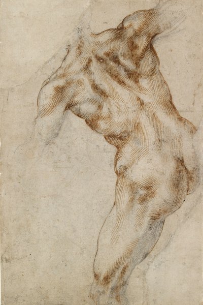 Männlicher Akt, frühes 16. Jahrhundert von Michelangelo Buonarroti