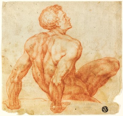 Sitzender männlicher Akt von Michelangelo Buonarroti