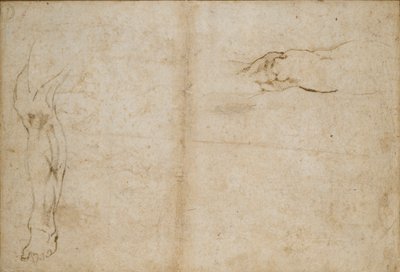 Verso: Studien eines Männerbeins, ca. 1490-1560 von Michelangelo Buonarroti