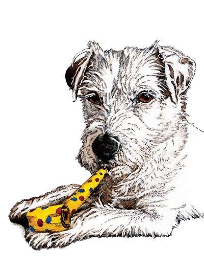 Geburtstags-Parson-Hund auf Weiß, 2020 von Mike Davis