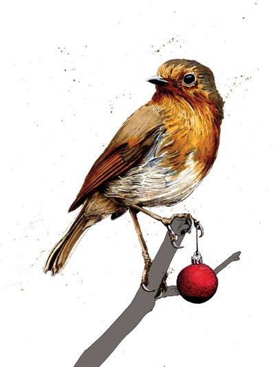Weihnachtsrotkehlchen auf Weiß, 2020 von Mike Davis