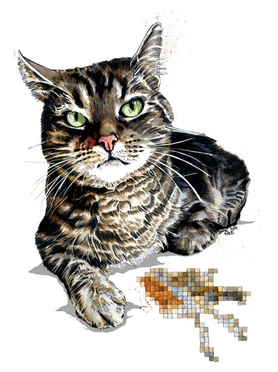 Geschenkkatze auf Weiß, 2020 von Mike Davis