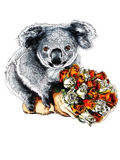 Danke Koala auf Weiß, 2020 von Mike Davis