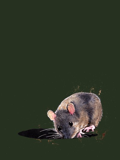 Die Waldmaus auf Waldgrün, 2020 von Mike Davis