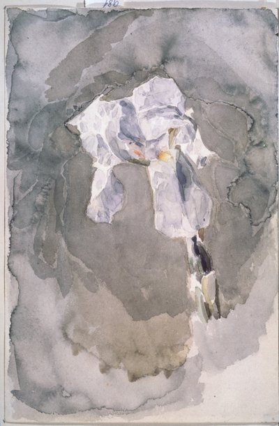 Weiße Iris von Mikhail Aleksandrovich Vrubel