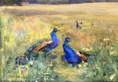 Pfauen auf einem Feld von Mildred Anne Butler