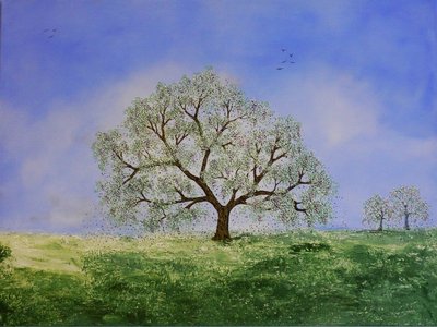 Augenblicke von Monika Wittrich