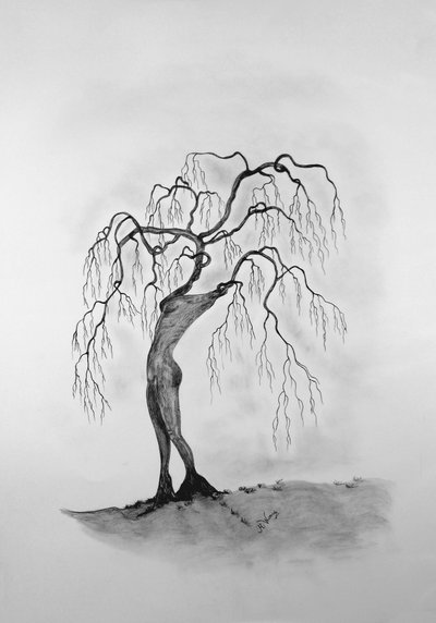 Baumsterben 3 von Monika Wittrich
