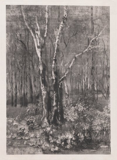 Wälder im Park bei Monza von Mose Bianchi