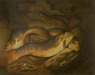 Fische von Moses Haughton