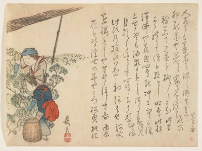 Teepflücker, ca. 1830-44 von Murata Kagen