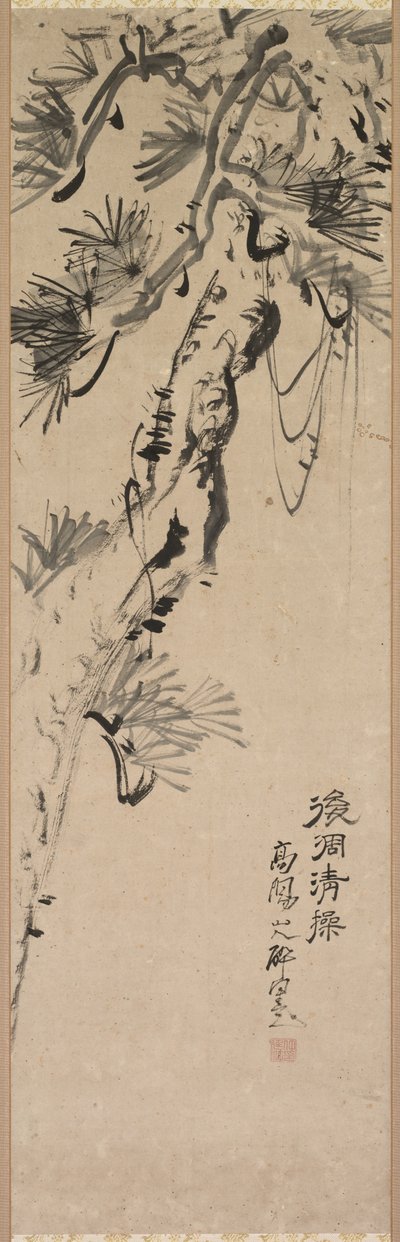 Gealterte Kiefer, 1717-1780 von Nakayama Koyo
