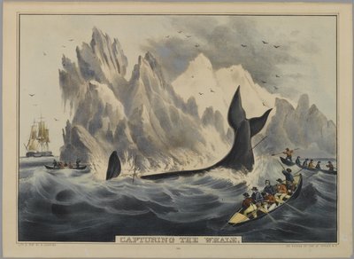 Fang des Wals von Nathaniel Currier