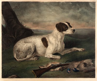 Juno von Nathaniel Currier