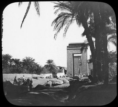 Allee der Sphinxe, Karnak, Ägypten, ca. 1890 von Newton and Co