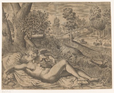 Venus und Amor von Niccolò Nelli