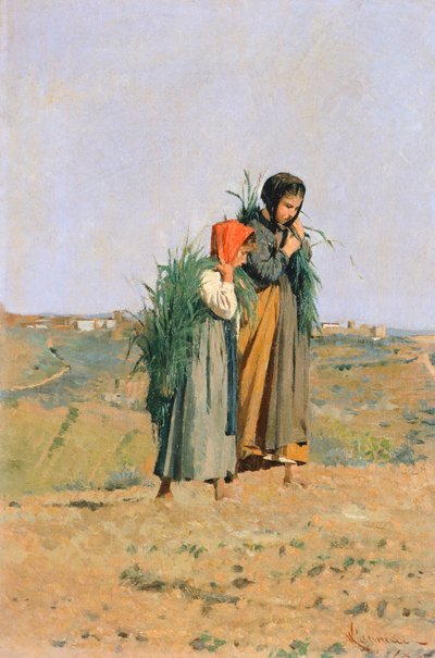 Erbaiole von Niccolo Cannicci