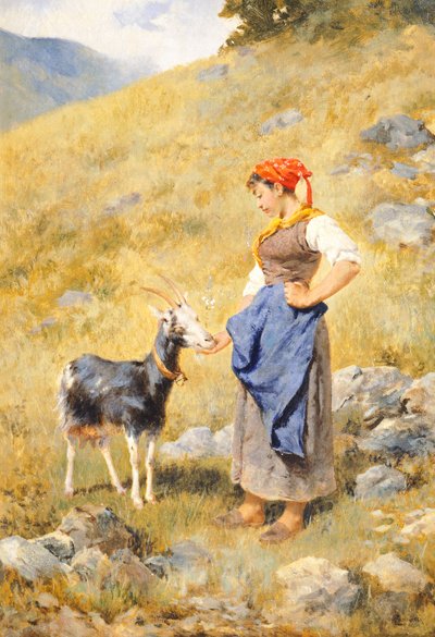 Hirtin, von Niccolo Cannicci (1846-1906) von Niccolo Cannicci