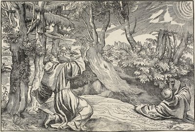 Der heilige Franziskus empfängt die Stigmata von Nicolò Boldrini