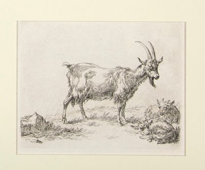 6 Radierungen aus von Nicolaes Berchem
