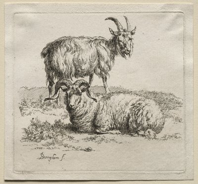 Animalia: Widder und Ziege von Nicolaes Berchem