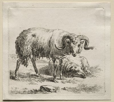 Animalia: Widder und Schafe von Nicolaes Berchem