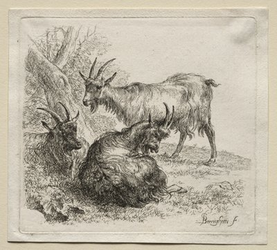 Animalia: Drei Ziegen von Nicolaes Berchem