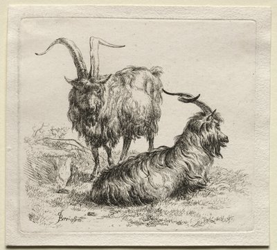 Animalia: Zwei Ziegen von Nicolaes Berchem