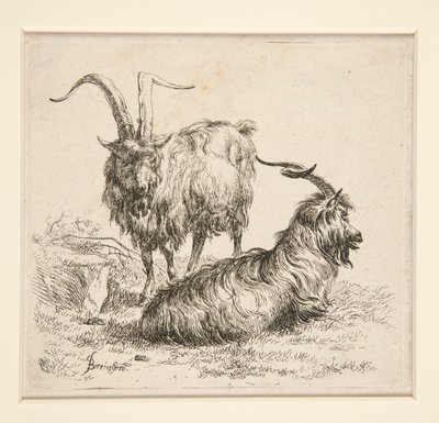 Ziegen (aus von Nicolaes Berchem